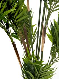 Planta artificial Palm Parlour, Fibra sintética, Verde, Ø 45 x Al 180 cm