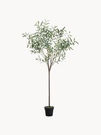 Olivier artificiel fait main, haut. 172 cm, Olive Tree, Plastique, Vert, Ø 100 x haut. 170 cm