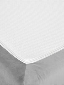 Premium Samt-Boxspringbett Phoebe, Matratze: 7-Zonen-Taschenfederkern , Hellgrau, 200 x 200 cm