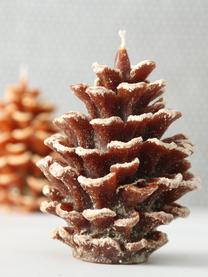 Sada svíček ve tvaru šišek Pine, 2 díly, Vosk, Odstíny hnědé, Ø 10 cm, V 14 cm