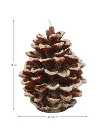 Bougie décorative Noël Pine, 2 élém., Cire, Tons bruns, Ø 10 x haut. 14 cm