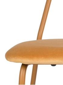 Krzesło tapicerowane z aksamitu Kiss The Froggy, Tapicerka: aksamit poliestrowy 30 00, Stelaż: metal malowany proszkowo, Odcienie pomarańczowego złota, S 45 x G 51 cm
