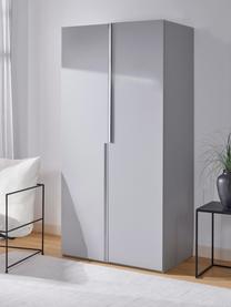 Armario modular Leon, 2 puertas (100 cm), diferentes variantes, Estructura: tablero aglomerado revest, Gris claro, Interior Basic (An 100 x Al 200 cm)