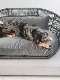 In- & Outdoor-Hundebett Prado, Bezug: 100 % Polyester Der hochw, Rahmen: Aluminium, pulverbeschich, Grau, Anthrazit, B 110 x T 74 cm