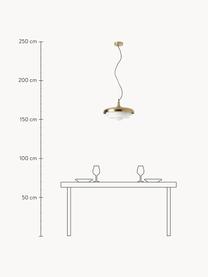 Pendelleuchte Enzo, Lampenschirm: Glas, Weiß, Goldfarben, Ø 40 x H 20 cm