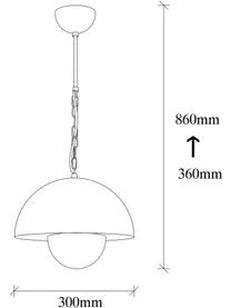 Pendelleuchte Yanigara im Industrial-Style, Lampenschirm: Metall, beschichtet, Baldachin: Metall, beschichtet, Schwarz, Ø 30 cm