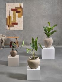 Plantenpot Loev van cement met antieke afwerking, Cement, Beige, Ø 20 x H 19 cm