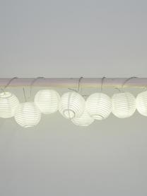Ghirlanda a LED Festival, 300 cm, Bianco, Lung. 300 cm, 10 lanterne