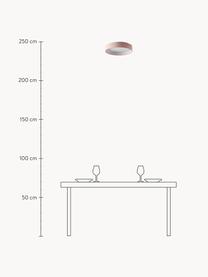 LED-Deckenleuchte Helen, Diffusorscheibe: Kunststoff, Altrosa, Ø 35 x H 7 cm