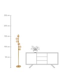 Stehlampe Scala in Gold, Lampenschirm: Glas, Lampenfuß: Stahl, beschichtet, Goldfarben, Ø 28 x H 160 cm