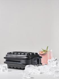 Eiswürfelform Ice, Kunststoff, Silikon, Schwarz, L 21 x B 12 cm