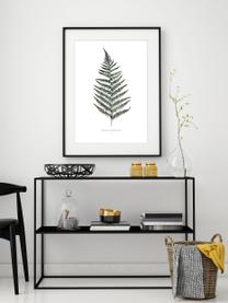 Poster Fern, Stampa digitale su carta, 200 g/m², Bianco, verde, Larg. 30 x Alt. 42 cm