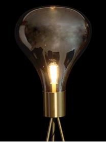Lámpara de pie Jungle, Patas: Metal, Pantalla: Vidrio, Gris, Ø 48 x Al 155 cm