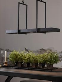 Grande suspension LED industrielle Tray, Noir