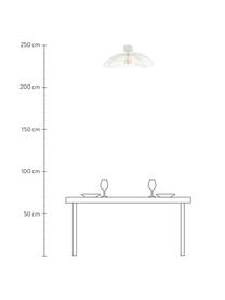 Große Decken- und Wandleuchte Ray, Lampenschirm: Metall, Weiß, Ø 60 x H 20 cm