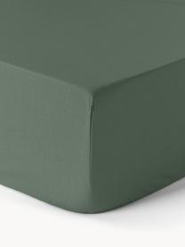 Lenzuolo con angoli in cotone percalle Elsie, Verde scuro, Larg. 180 x Lung. 200 cm, Alt. 25 cm