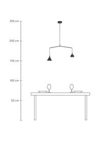 Hanglamp Cast van metaal, Lampenkap: gecoat aluminium, messing, Baldakijn: gepoedercoat metaal, Zwart, 66 x 32 cm