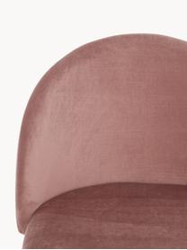 Roze fluwelen barstoel Amy, Bekleding: fluweel (polyester) De be, Poten: gepoedercoat metaal, Fluweel roze, B 45 x H 103 cm