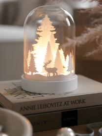 LED lichtobject Reindeer, batterij-aangedreven, MDF, kunststof, glas, Wit, transparant, Ø 13 cm, H 18 cm