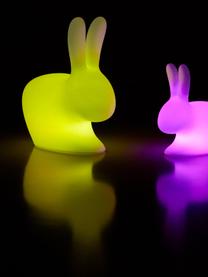 Borne d'éclairage LED mobile intensité variable Rabbit, Blanc