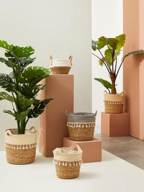 Plantenpotten Bridget, set van 3, 60% zeegras, 40% papier, Beige, grijs, Set met verschillende formaten