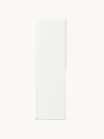 Armario modular Leon, 1 puerta (50 cm), diferentes variantes, Estructura: tablero aglomerado revest, Blanco, Interior Basic (An 50 x Al 200 cm)