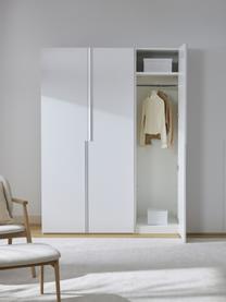 Modulární skříň s otočnými dveřmi Leon, šířka 50 cm, více variant, Bílá, Interiér Basic, Š 50 x V 200 cm