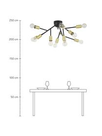 Stropná lampa Hero, Čierna, mosadzná