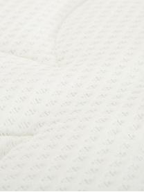 Premium fluwelen boxspring bed Lacey, Matras: 7-zones-pocketveringkern , Poten: massief gelakt beukenhout, Donkergrijs, 140 x 200 cm