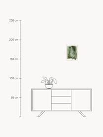Gerahmter Digitaldruck White Fern, Bild: Digitaldruck auf Papier (, Rahmen: Hochdichte Holzfaserplatt, White Fern, B 30 x H 40 cm