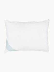 Almohada de plumas Comfort, blanda, Firmeza blanda, An 50 x L 70 cm