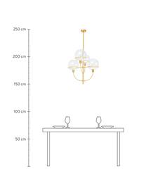 Grote hanglamp Lantern, Baldakijn: gecoat metaal, Transparant, goudkleurig, Ø 68 x H 120 cm