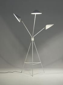 Neron driepoot vloerlamp in wit, Lampenkap: gepoedercoat metaal, Decoratie: vermessingd metaal, Wit, B 103 x H 170 cm