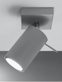 Nastaviteľná nástenná a stropná lampa Etna, Sivá, Š 8 x H 15 cm