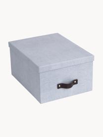 Aufbewahrungsbox Gustav, 2 Stück, Box: Canvas, fester Karton (10, Griff: Leder, Graublau, B 23 x T 30 cm