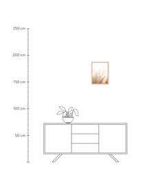 Stampa digitale incorniciata Pampa Grass, Immagine: stampa digitale su carta,, Cornice: legno verniciato, Erba della pampa, Larg. 33 x Alt. 43 cm