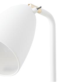 Stojacia LED lampa Nexus 10, nastaviteľná, Krémovobiela