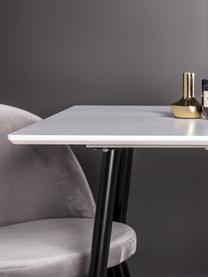 Table avec chaises Polar, 3 élém., Velours gris, blanc, noir, Lot de différentes tailles