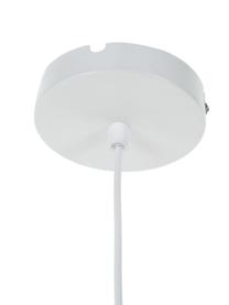 Ovale hanglamp Bahar van bamboe, Lampenkap: bamboe, Baldakijn: metaal, Bamboe, B 53 x H 28 cm