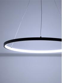 Moderná závesná LED lampa Jay, Stropný kryt: matná čierna Tienidlo: matná čierna Kábel: odtiene striebornej