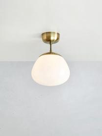 Lampada da soffitto Rise, Paralume: vetro, Baldacchino: acciaio spazzolato, Bianco crema, dorato, Ø 25 x Alt. 35 cm