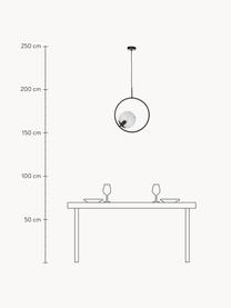 Pendelleuchte Chloe aus Rauchglas, Lampenschirm: Rauchglas, Baldachin: Metall, pulverbeschichtet, Schwarz, B 40 x H 51 cm