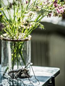 Vaso per fiori in vetro con coperchio in metallo Lily, Vaso: vetro, Coperchio: ottone, Vaso: trasparente Coperchio: ottone, Ø 13 x A 19 cm