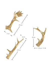 Bois de cerfs décoratifs dorés Geweih, 3 élém., Résine synthétique, Couleur dorée, Lot de différentes tailles