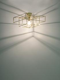 Plafoniera dorata Cube, Baldacchino: ottone verniciato, Dorato, Lar. 46 x  Alt. 27 cm