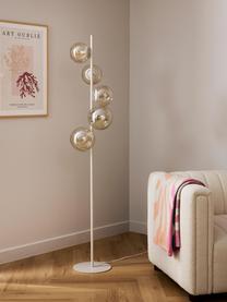 Lampada da terra Casey, Paralume: vetro, Struttura: metallo verniciato a polv, Beige, champagne, Ø 37 x Alt. 170 cm