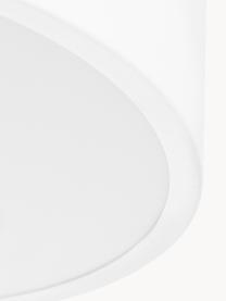 Lampada da soffitto in metallo Ole, Paralume: metallo verniciato a polv, Baldacchino: metallo verniciato a polv, Disco diffusore: acrilico, Bianco, Ø 35 x Alt. 18 cm