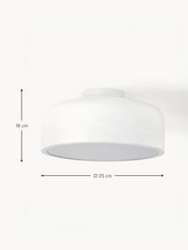 Lampada da soffitto in metallo Ole, Paralume: metallo verniciato a polv, Baldacchino: metallo verniciato a polv, Disco diffusore: acrilico, Bianco, Ø 35 x Alt. 18 cm