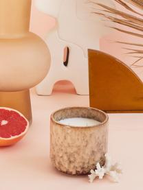 Vela perfumada de dos mechas arteanal (mango y pomelo) Pleasure, Recipiente: cerámica, Mango y pomelo, Ø 11 x Al 10 cm