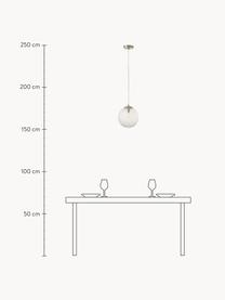 Kleine Pendelleuchte Lorna aus Glas, Lampenschirm: Glas, Transparent, Silberfarben, Ø 25 cm